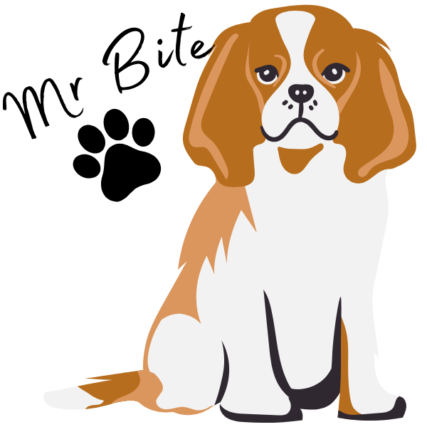 Mr Bite aka Basil the CEO dog